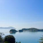 mame_image_5