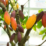 mame_image_8