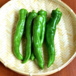 togarashi_image_3