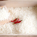 togarashi_image_5