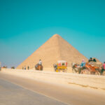 ninniku_image_2