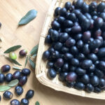olive_image_3