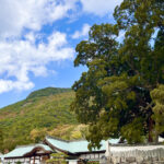 shodoshima_image_3